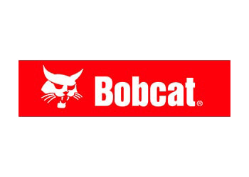 Bobcat